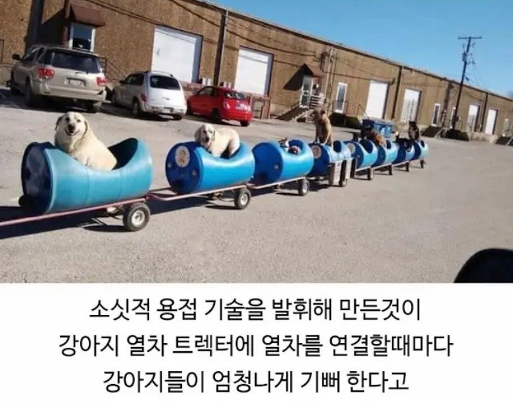 80대 할아버지의 산책시간.jpg6