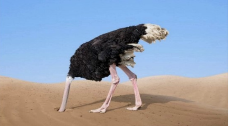 준스톤이 조용했던 이유 ㄷㄷㄷㄷㄷㄷㄷㄷㄷㄷ2