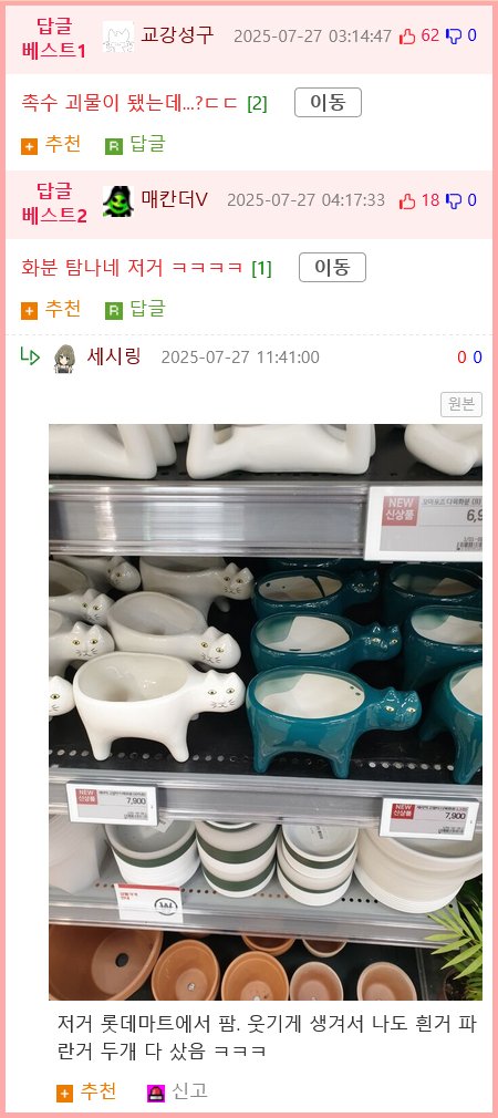 펌) 방치된 선인장 잘 자란다...8