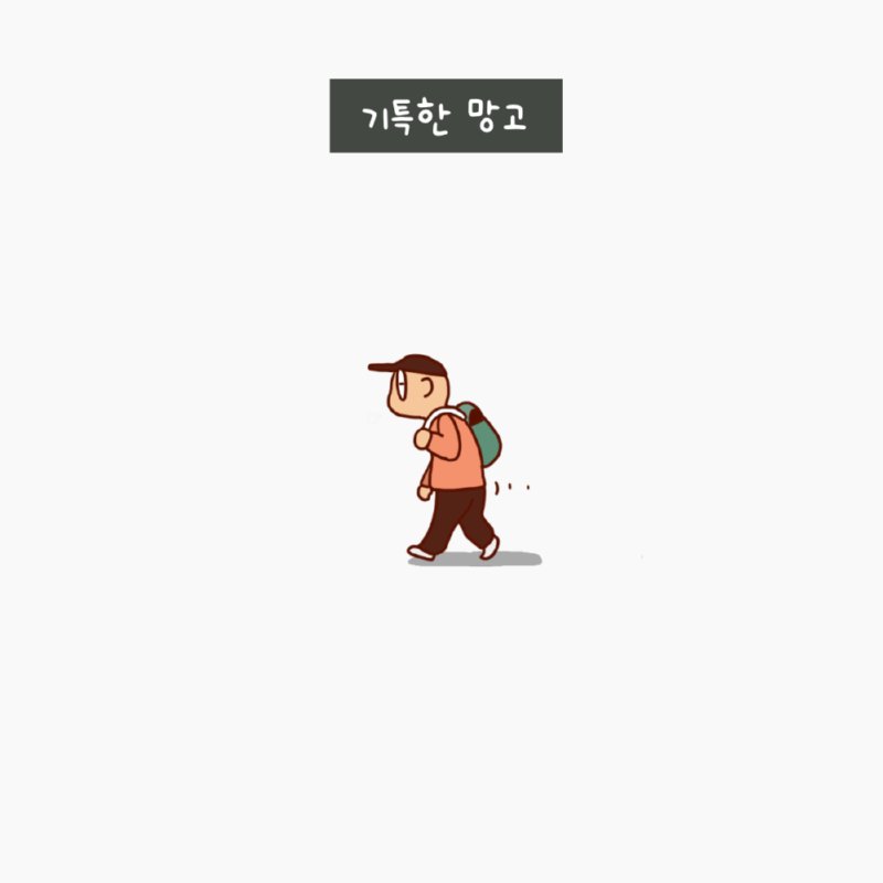 민들레 홀씨처럼.5