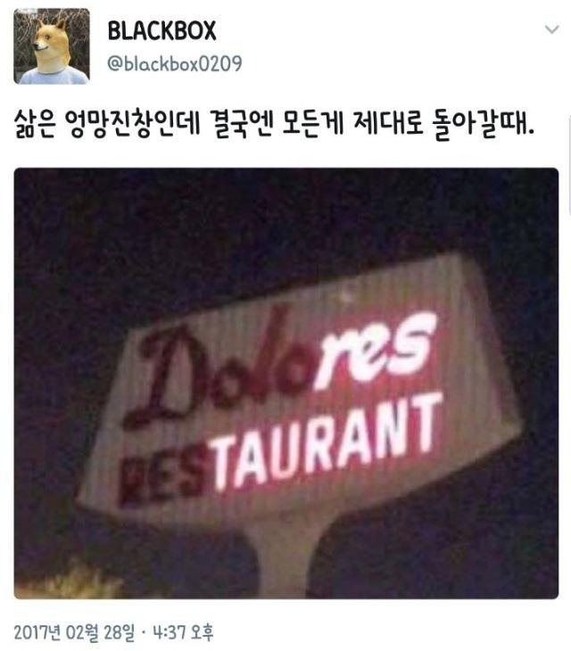 유머 짤 조각모음.jpg1