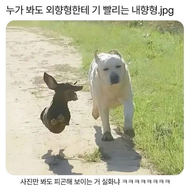 유머 짤 조각모음.jpg7