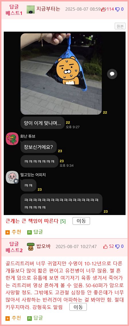 의외로 잘 모르는 골댕이 특징6