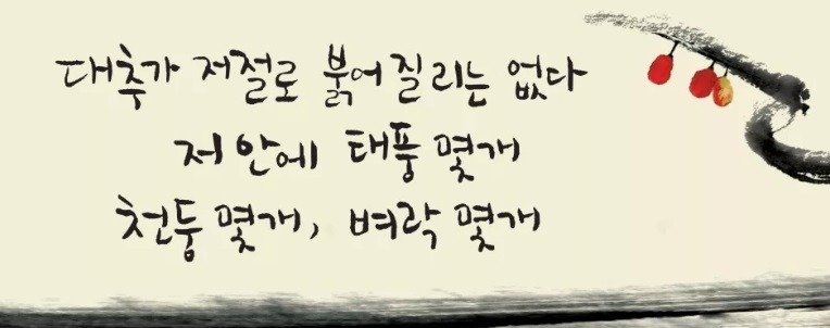 광화문 글판3