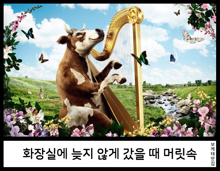 NEW 일본의 제목학원 보케테 모음 5914