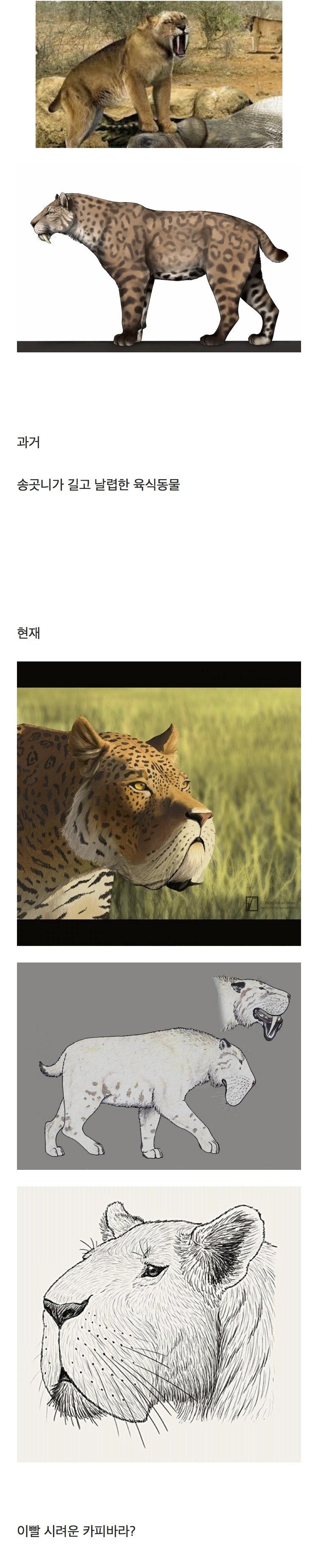 검치호 복원도 근황...1