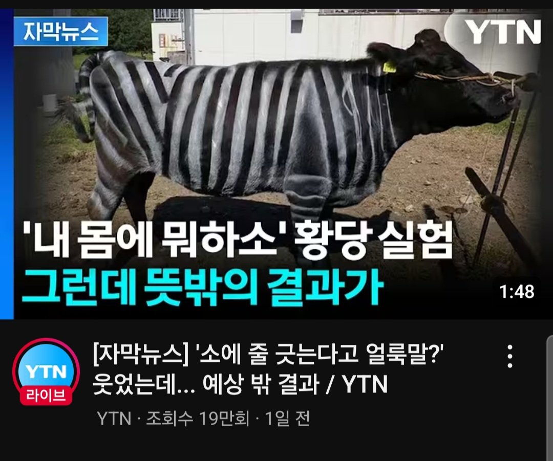 내 몸에 뭐하소1