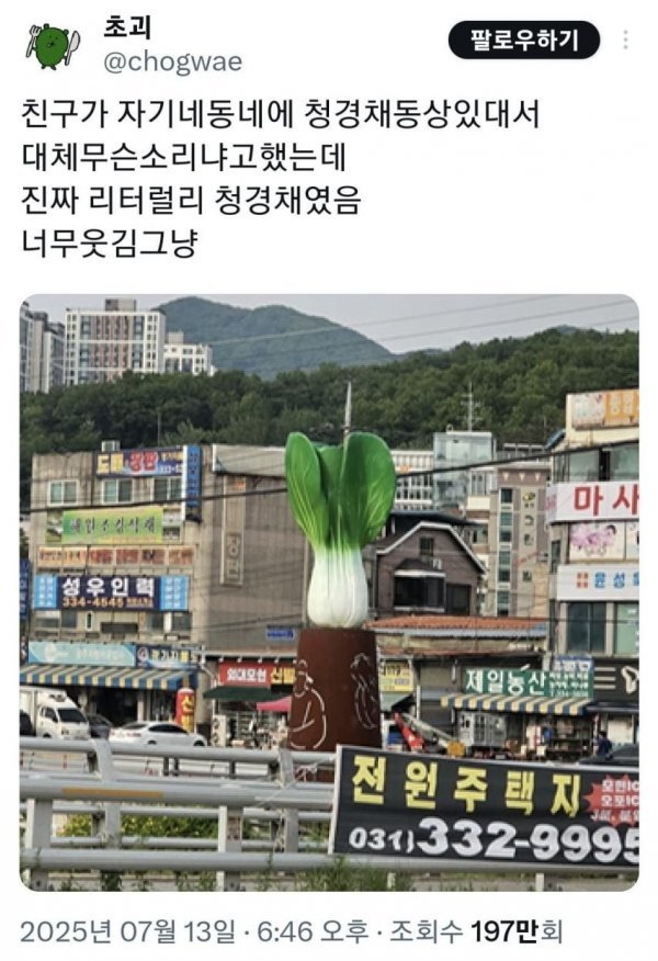 친구가 자기 동네에 청경채 동상 있다고 해서 무슨 소리냐 했는데1
