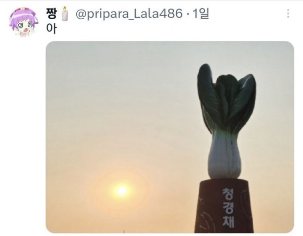 친구가 자기 동네에 청경채 동상 있다고 해서 무슨 소리냐 했는데2