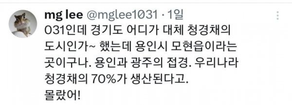 친구가 자기 동네에 청경채 동상 있다고 해서 무슨 소리냐 했는데3