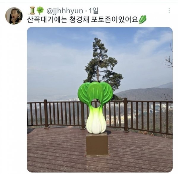 친구가 자기 동네에 청경채 동상 있다고 해서 무슨 소리냐 했는데4