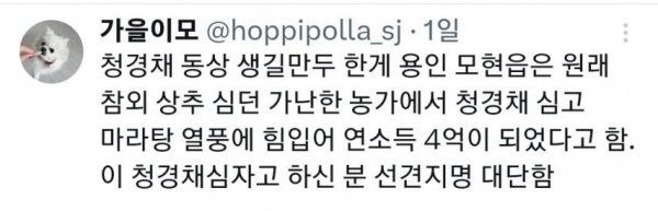 친구가 자기 동네에 청경채 동상 있다고 해서 무슨 소리냐 했는데5