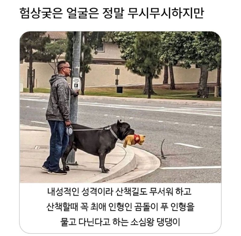 소심하지만 그렇지 않은 외모1