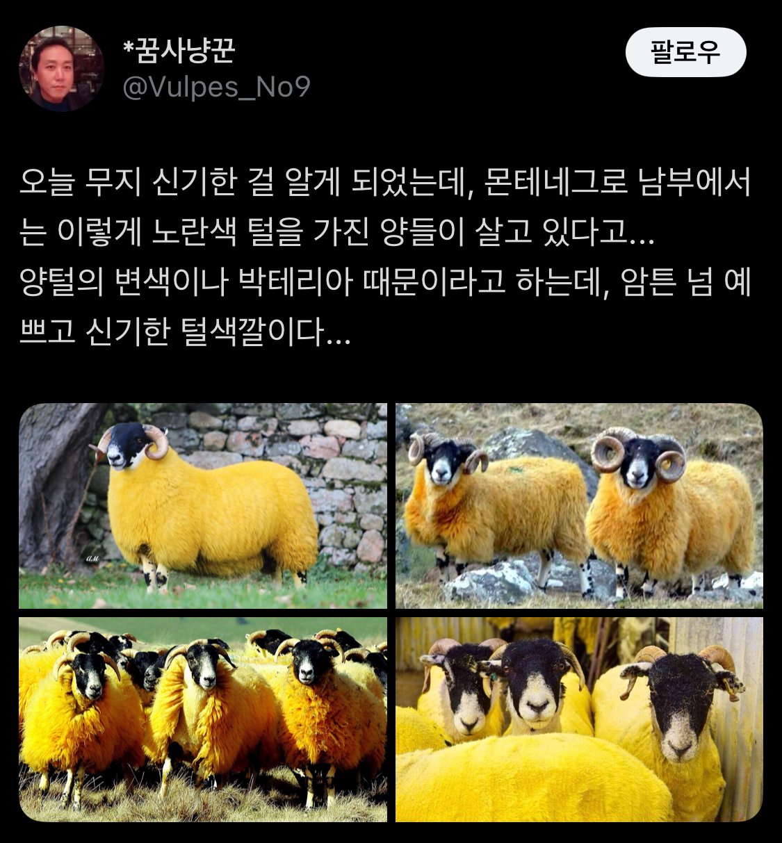 이어서 생태계 소식 전해드립니다1