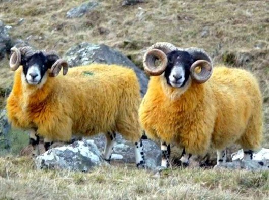 이어서 생태계 소식 전해드립니다3