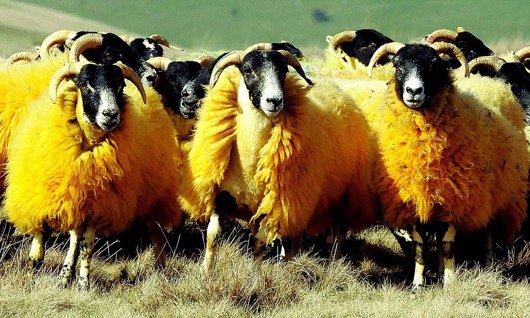 이어서 생태계 소식 전해드립니다4