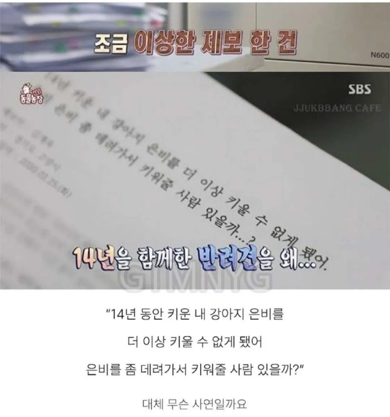 14년 키운 반려견을 제발 데려가 달라는 할머니.jpg1