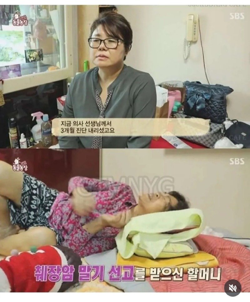 14년 키운 반려견을 제발 데려가 달라는 할머니.jpg3