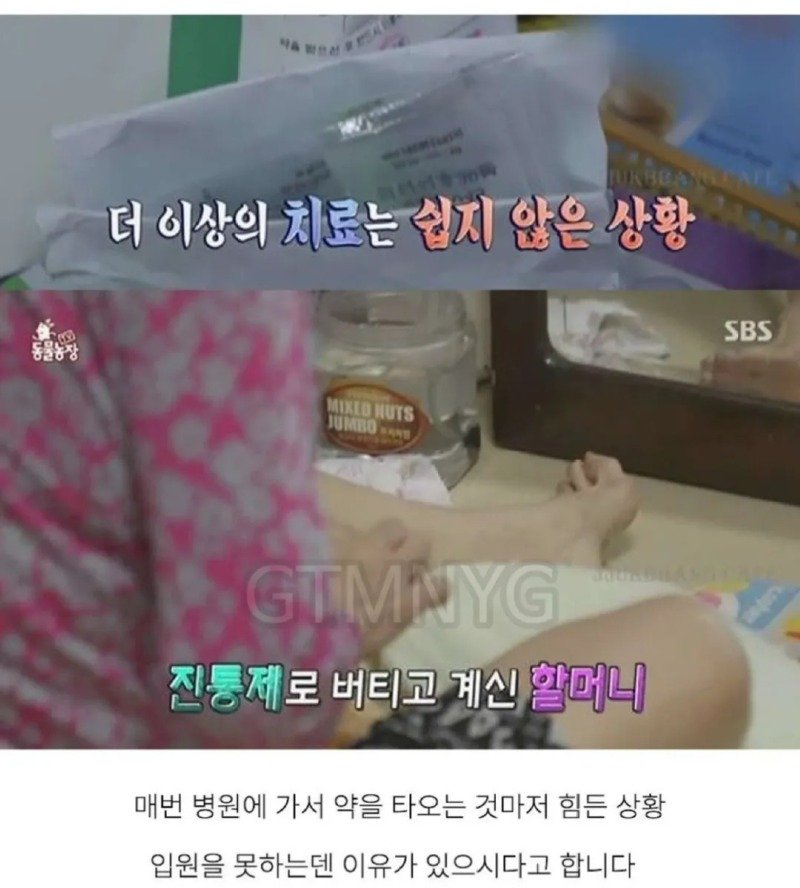 14년 키운 반려견을 제발 데려가 달라는 할머니.jpg4
