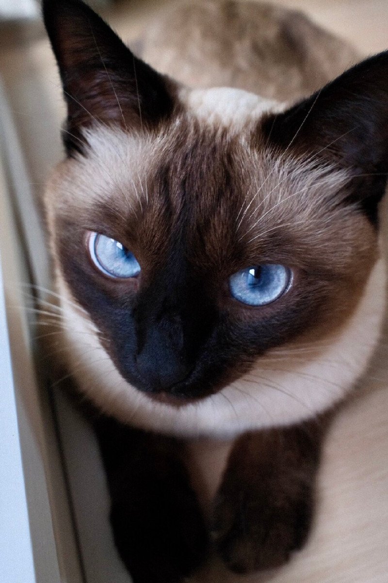 첫눈에 빠져들어버릴 수 밖에없는 눈빛1