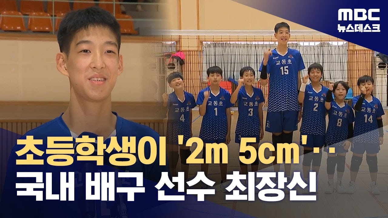 요즘 어린이 발육 수준1