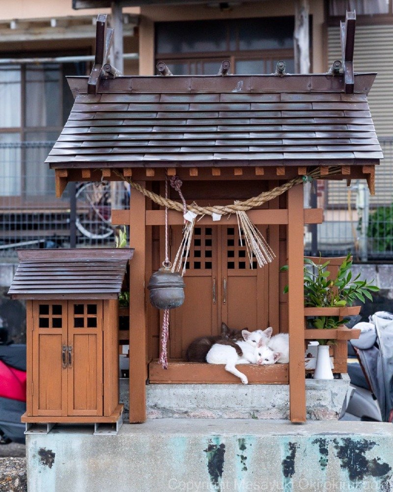 인간아 무슨 고민이 있어 왔느냐?1