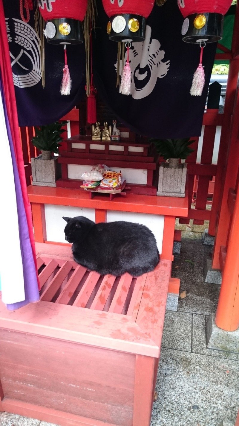 인간아 무슨 고민이 있어 왔느냐?2