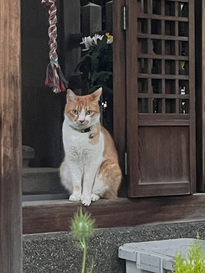 인간아 무슨 고민이 있어 왔느냐?3
