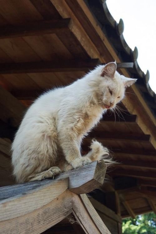 인간아 무슨 고민이 있어 왔느냐?4