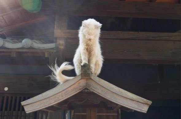 인간아 무슨 고민이 있어 왔느냐?5