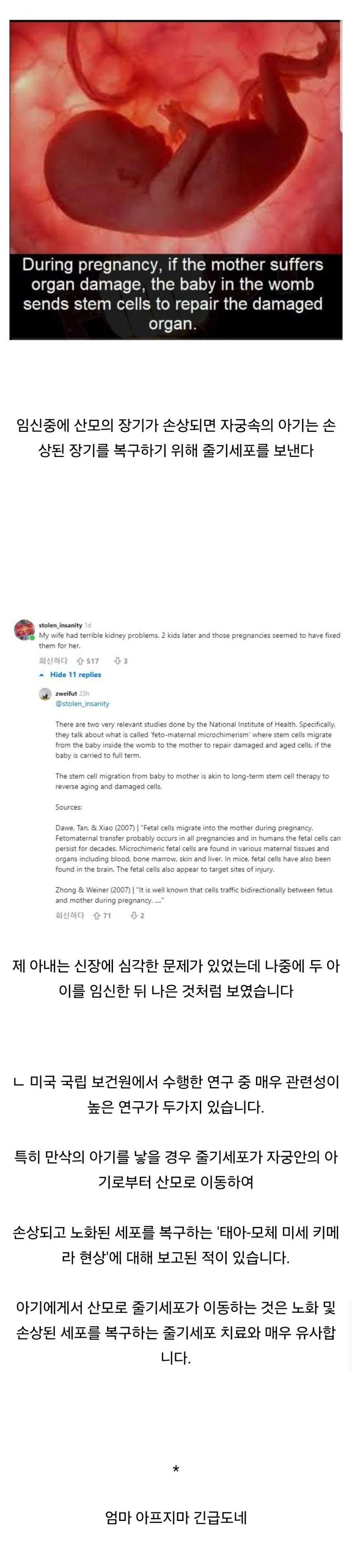 임신 중 엄마가 아프면 아이가 줄기세포 보내 치료1