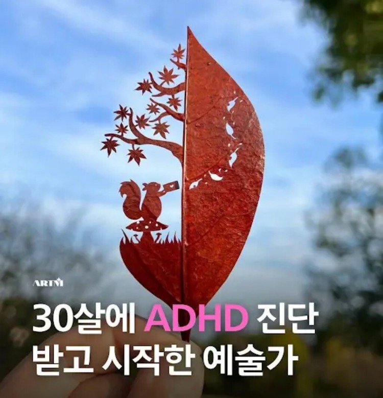 30살에 ADHD 판정 받고 시작한 예술.jpg1