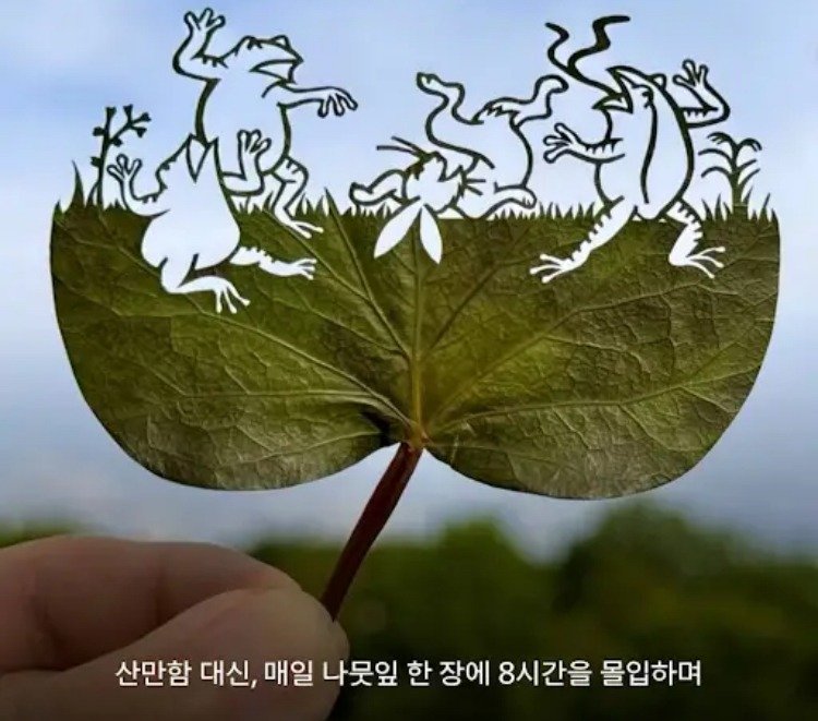 30살에 ADHD 판정 받고 시작한 예술.jpg3