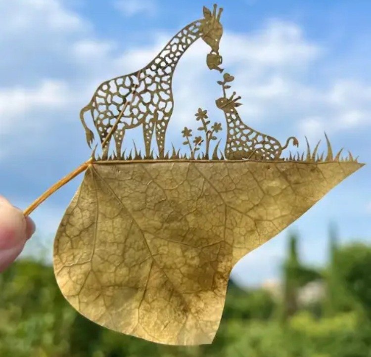 30살에 ADHD 판정 받고 시작한 예술.jpg7