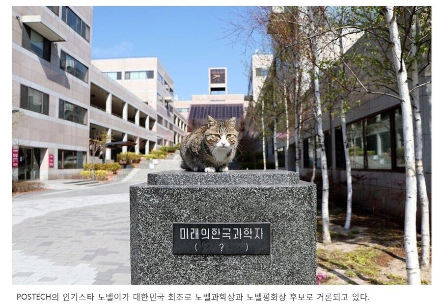 포항공대에서 거론되고 있는 한국 노벨상 후보1