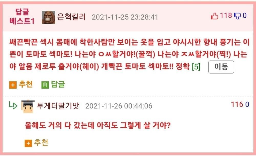 멋쟁이 토마토를 자소서에 써서 합격한 사람.jpg4