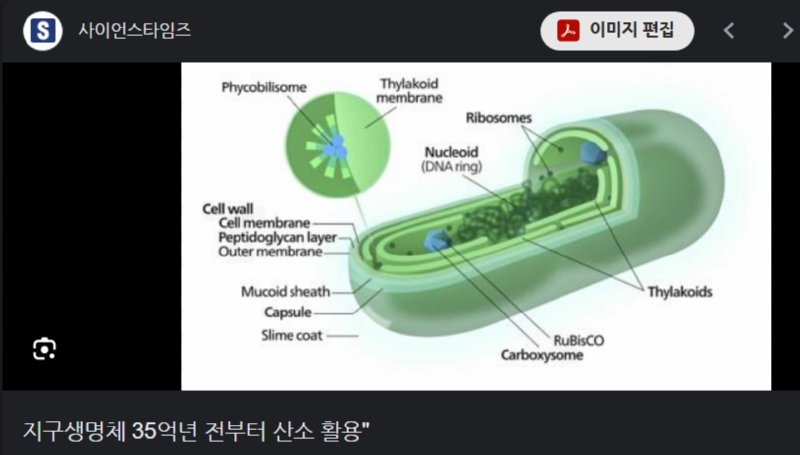 과학영상을 취미로 보니까 보이는거...1