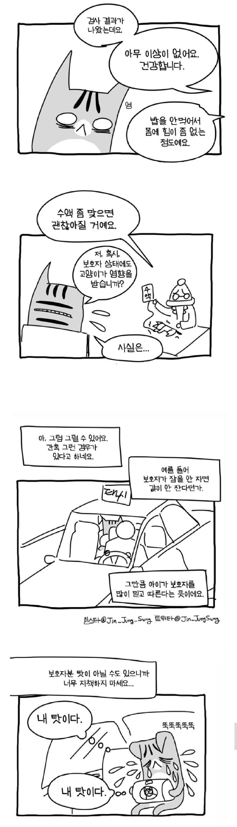 고양이가 사람 구한 이야기.manhwa3