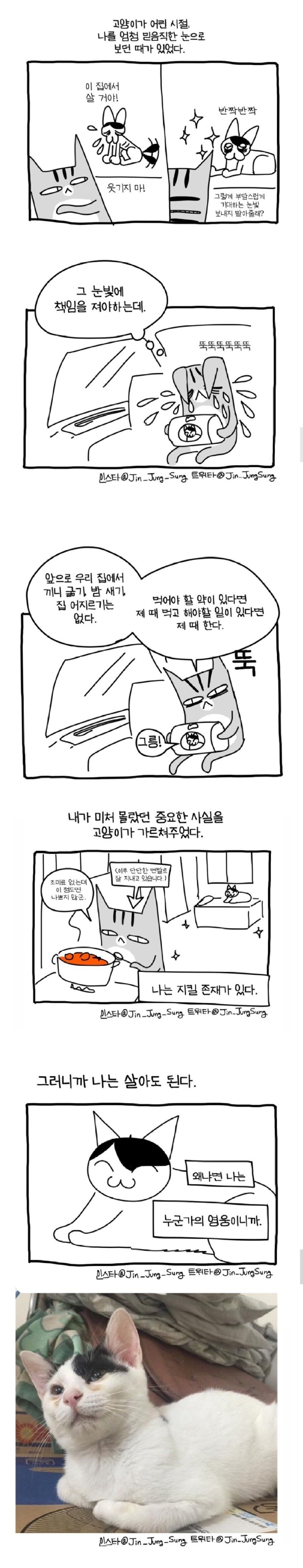 고양이가 사람 구한 이야기.manhwa4