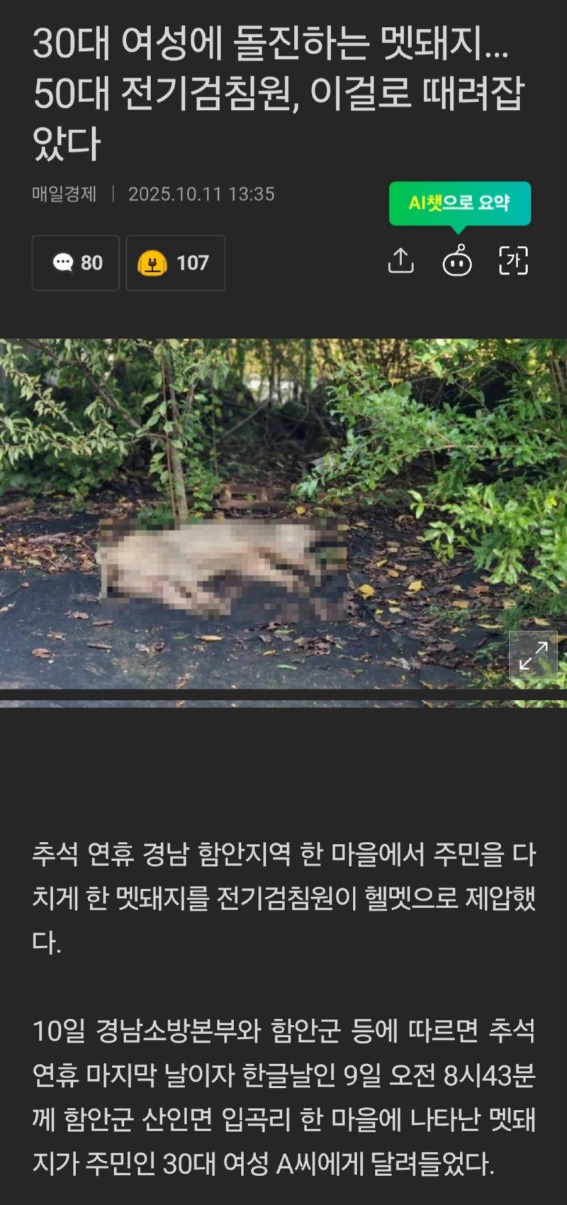 이봐... 전기검침원은 얼마나 강한거지?.news1