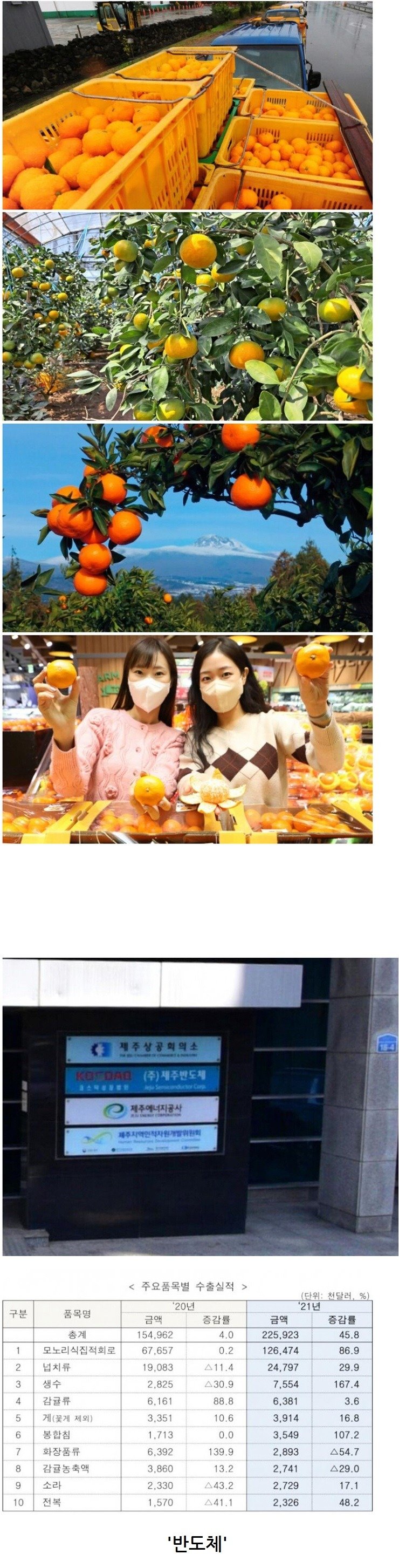 제주도 전체 수출품목 1위 ㄷㄷㄷ1