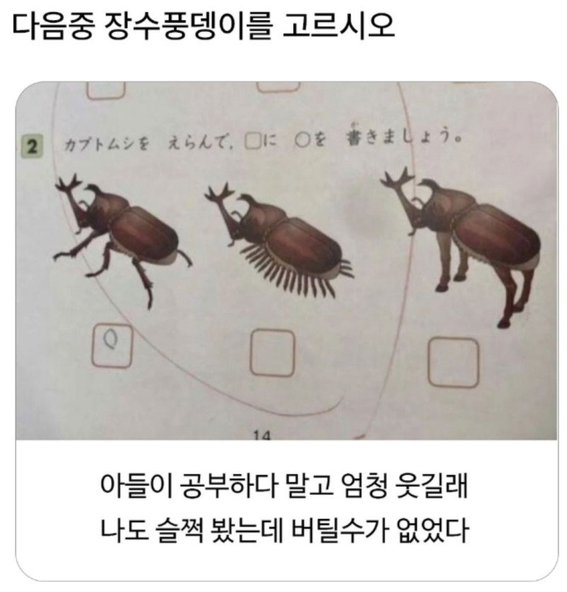 다음중 장수풍뎅이를 고르시오1