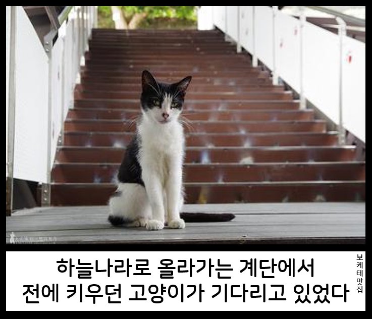 NEW 일본의 제목학원 보케테 모음 6217