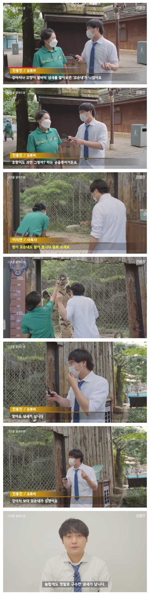 호랑이 젤리에서도 꼬순내가 날까?1