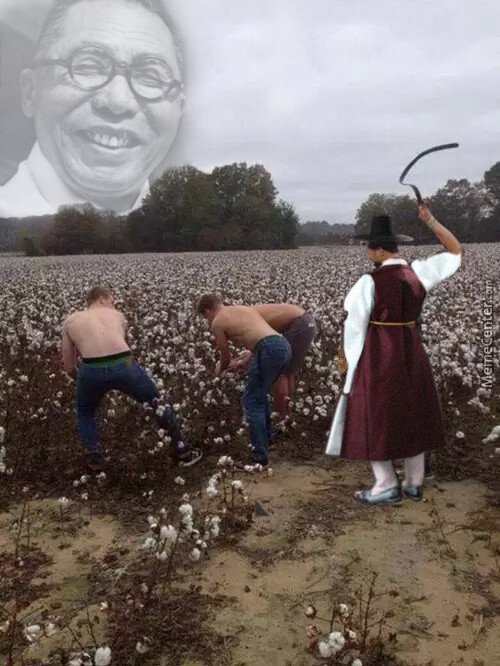 유네스코 근황3