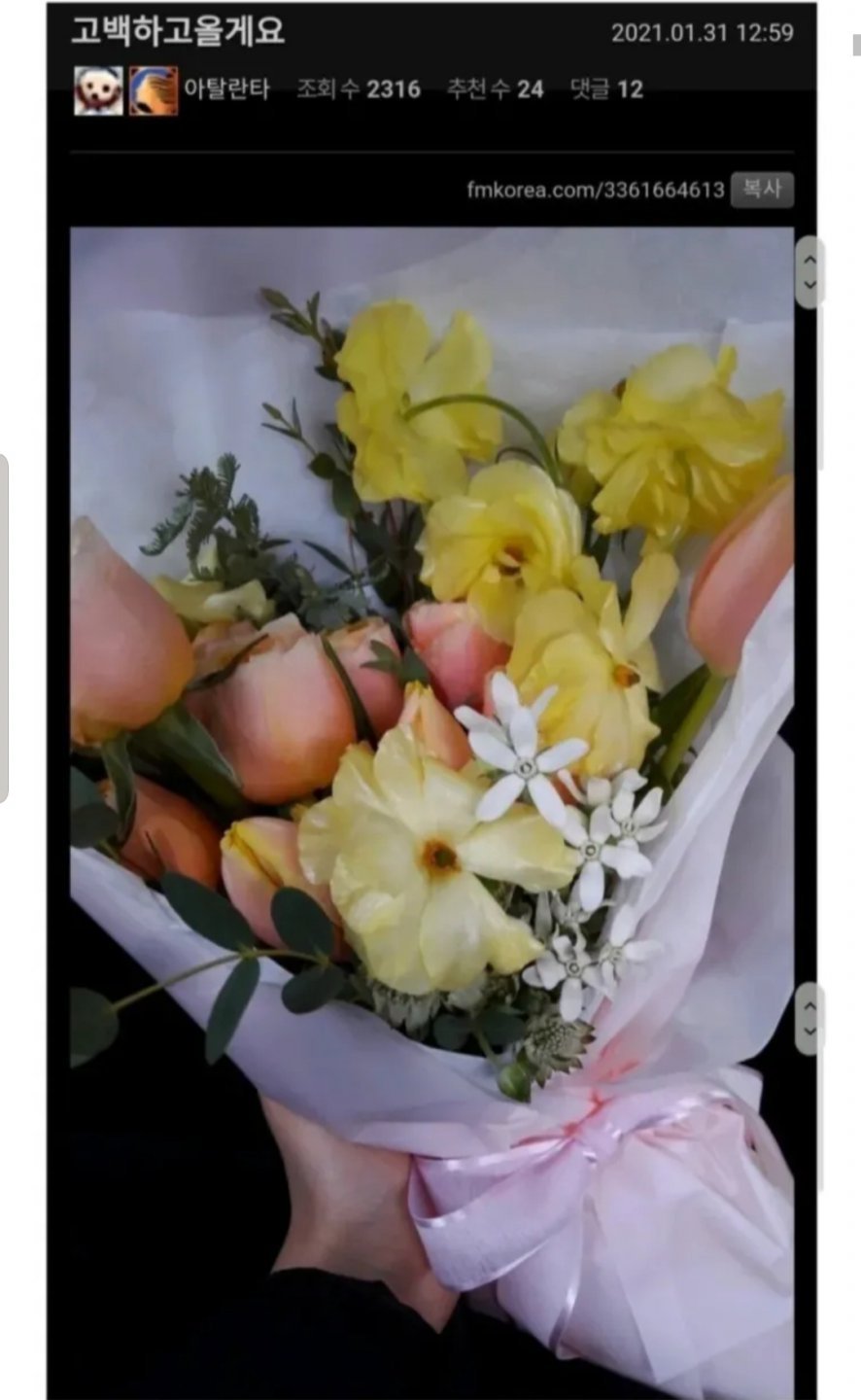 고백하고 올게요1