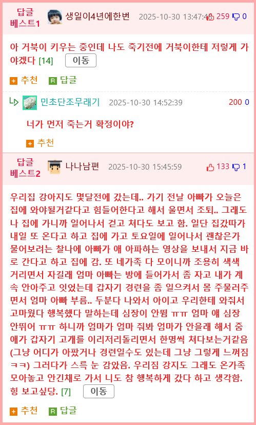 죽음 앞둔 반려견의 마지막 행동2