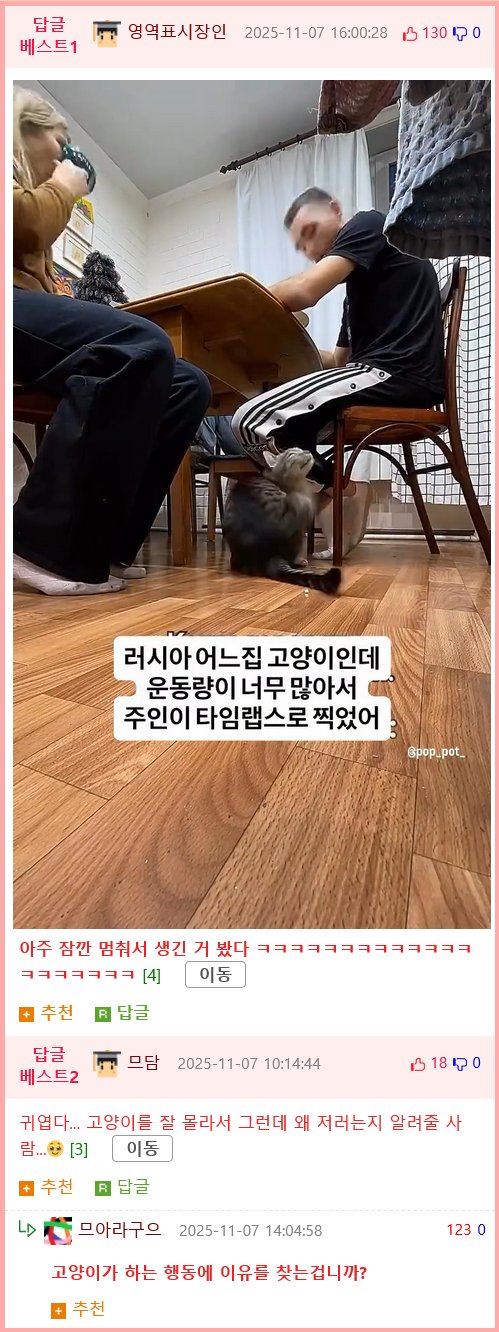 운동량이 너무 많은 고양이3