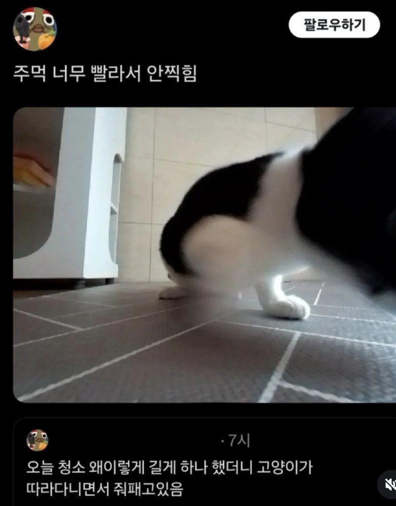 로봇 청소기 오늘따라 왜이렇게 오래 하나 했더니2