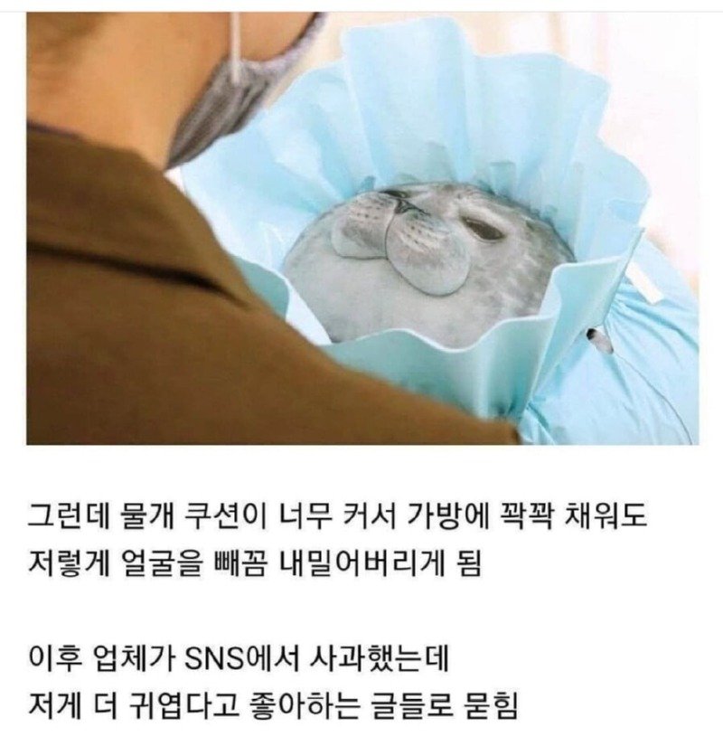 업체가 사과했지만 고객들은 다 좋아했다는 썰.jpg3